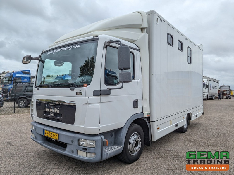 MAN TGL 12.250 4x2 Euro5 EEV RC HorseTruck - 2a3 Paards - 135.000km - MARGE (V821) - Camião de transporte de cavalos: foto 2 MAN TGL 12.250 4x2 Euro5 EEV RC HorseTruck - 2a3 Paards - 135.000km - MARGE (V821) - Camião de transporte de cavalos: foto 2