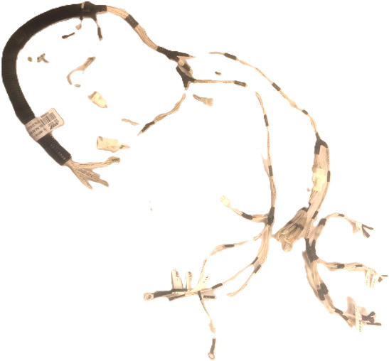 Wire Set for Caterpillar - Cables/ Wire harness para Equipamento de movimentação: foto 1 Wire Set for Caterpillar - Cables/ Wire harness para Equipamento de movimentação: foto 1