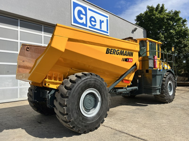Caminhão articulado Bergmann 5025 HK (110873): foto 8