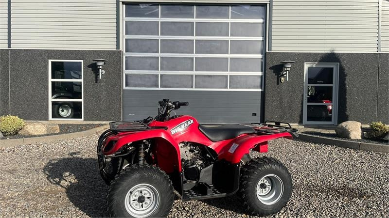 Yamaha Big bear 250 - Quadriciclo: foto 1 Yamaha Big bear 250 - Quadriciclo: foto 1