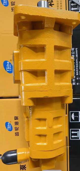 Qingdao Promising Hydraulic Double Gear Pumps Fit China Loader - Bomba hidráulica para Pá carregadora de rodas: foto 4 Qingdao Promising Hydraulic Double Gear Pumps Fit China Loader - Bomba hidráulica para Pá carregadora de rodas: foto 4