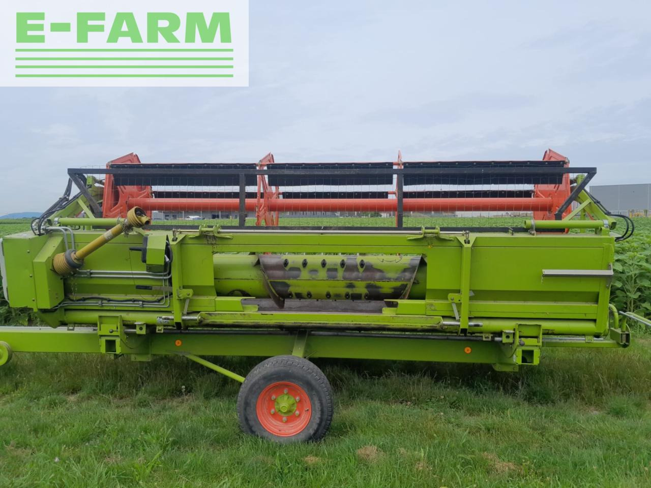 Plataforma para colheitadeira CLAAS SW C 430: foto 6 Plataforma para colheitadeira CLAAS SW C 430: foto 6