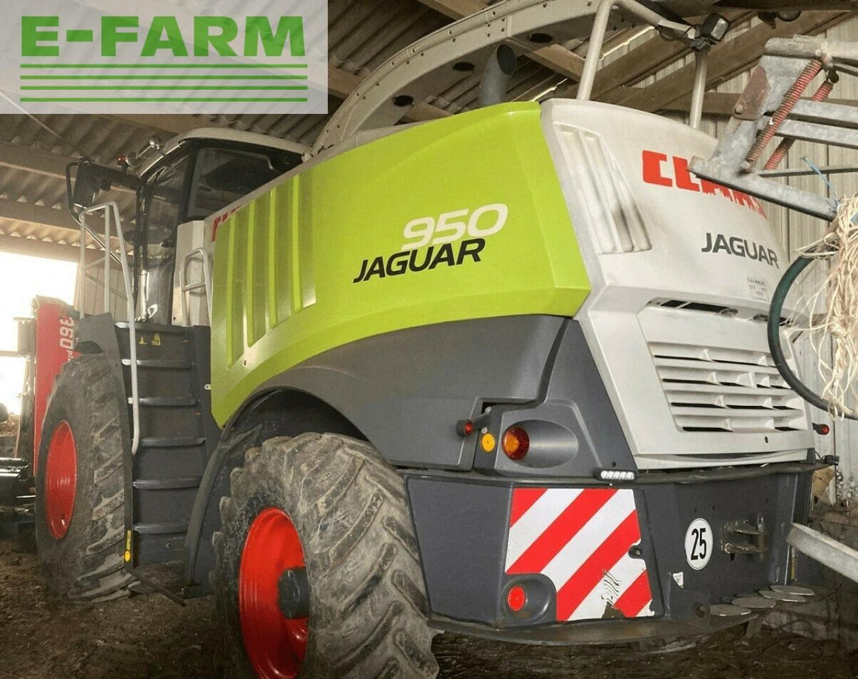 CLAAS jaguar 950 - Picadora de forragem automotriz: foto 3 CLAAS jaguar 950 - Picadora de forragem automotriz: foto 3