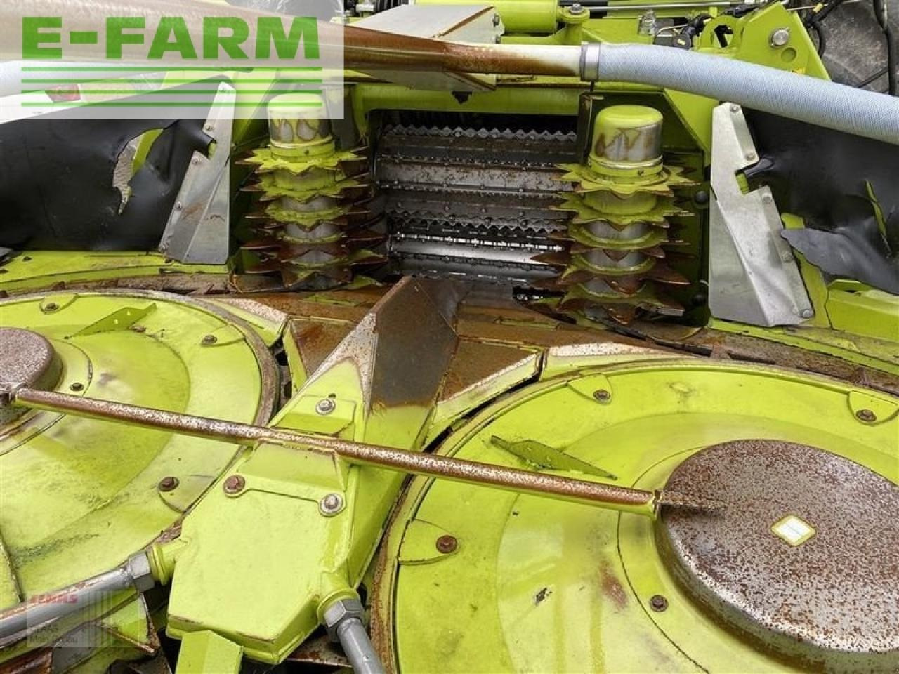 CLAAS orbis 600 sd 3t - Acessórios para Colhedora de forragem: foto 5 CLAAS orbis 600 sd 3t - Acessórios para Colhedora de forragem: foto 5