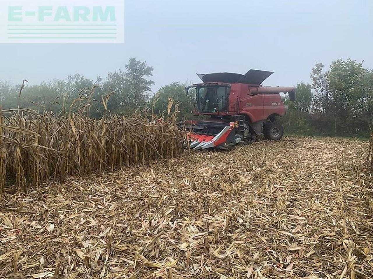 Case-IH 7250 - Ceifeira debulhadora: foto 2 Case-IH 7250 - Ceifeira debulhadora: foto 2