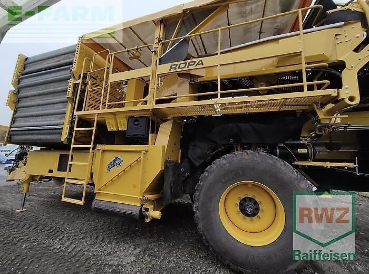 Ropa keiler ii classic - Colheitadeira de batatas: foto 4 Ropa keiler ii classic - Colheitadeira de batatas: foto 4