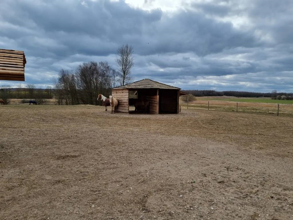 Pomi Hestepæreopsamler - Veículo municipal/ Especial: foto 5 Pomi Hestepæreopsamler - Veículo municipal/ Especial: foto 5