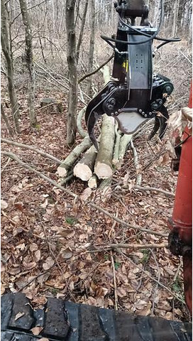 Jak 250 Fällgreifer - Garra: foto 2 Jak 250 Fällgreifer - Garra: foto 2