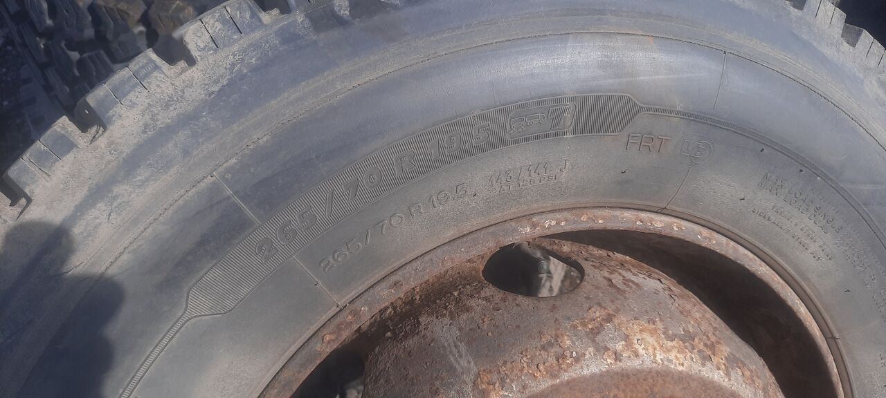 Michelin 295*80R22.5 255*70 \ 275*70* 265\70R19.5 - Pneu para Camião: foto 4 Michelin 295*80R22.5 255*70 \ 275*70* 265\70R19.5 - Pneu para Camião: foto 4