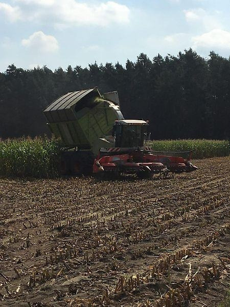 Claas Jaguar 900 Field Shuttle C 35 - Máquina agrícola: foto 5 Claas Jaguar 900 Field Shuttle C 35 - Máquina agrícola: foto 5