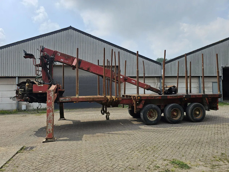 Semi-reboque transporte de madeira Doll 20T Crane - 6 meter extendable: foto 7