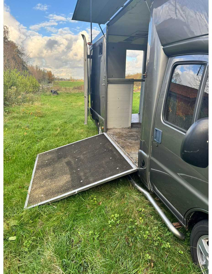 1999 FIAT DUCATO MAXI 18 2.8 ID 598-140 HORSE TRUCK - Veículo comercial: foto 5 1999 FIAT DUCATO MAXI 18 2.8 ID 598-140 HORSE TRUCK - Veículo comercial: foto 5