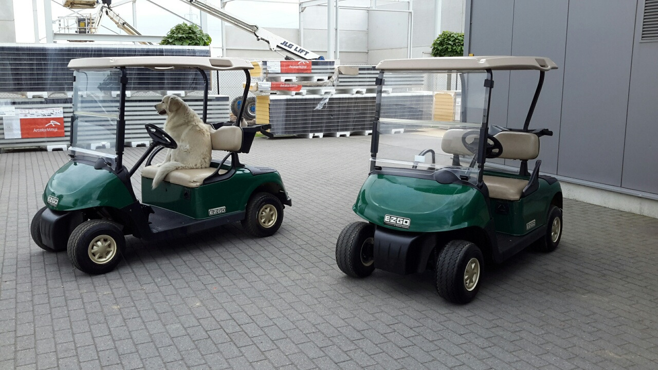 Ezgo rxv petrol - Carrinho de golfe: foto 1 Ezgo rxv petrol - Carrinho de golfe: foto 1