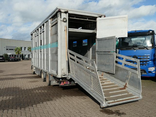 Locação financeira de Bannas AT 24.83, 3 Etagen, Schweine, Liftachse  Bannas AT 24.83, 3 Etagen, Schweine, Liftachse: foto 6