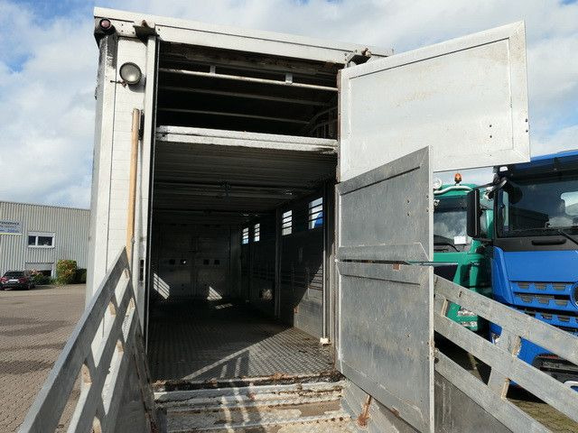 Locação financeira de Bannas AT 24.83, 3 Etagen, Schweine, Liftachse  Bannas AT 24.83, 3 Etagen, Schweine, Liftachse: foto 7