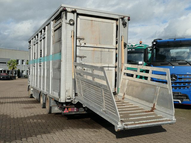 Bannas AT 24.83, 3 Etagen, Schweine, Liftachse - Reboque transporte de gado: foto 4 Bannas AT 24.83, 3 Etagen, Schweine, Liftachse - Reboque transporte de gado: foto 4