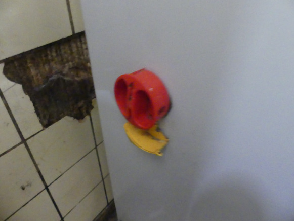 Batteur Kaplain BT40F - Equipamento de processamento de alimentos: foto 5 Batteur Kaplain BT40F - Equipamento de processamento de alimentos: foto 5