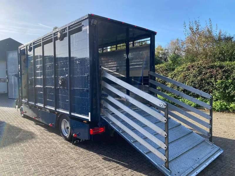 DAF LF 280 - Camião transporte de gado: foto 5 DAF LF 280 - Camião transporte de gado: foto 5