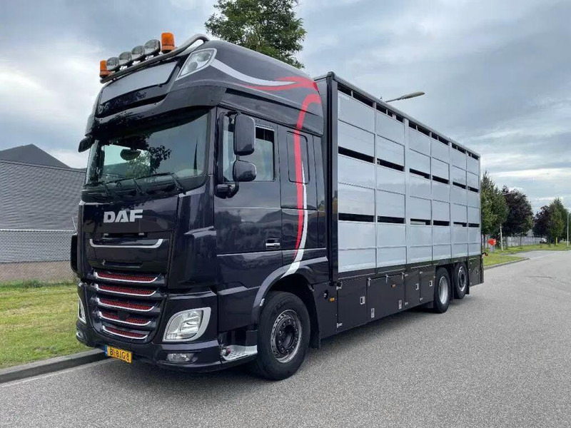 DAF XF 460 - Animal transporter - Camião transporte de gado: foto 1 DAF XF 460 - Animal transporter - Camião transporte de gado: foto 1