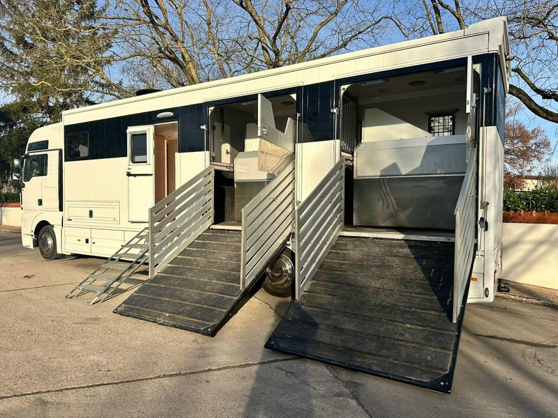 MAN TGX 26.440 - Horse transporter - Camião de transporte de cavalos: foto 5 MAN TGX 26.440 - Horse transporter - Camião de transporte de cavalos: foto 5
