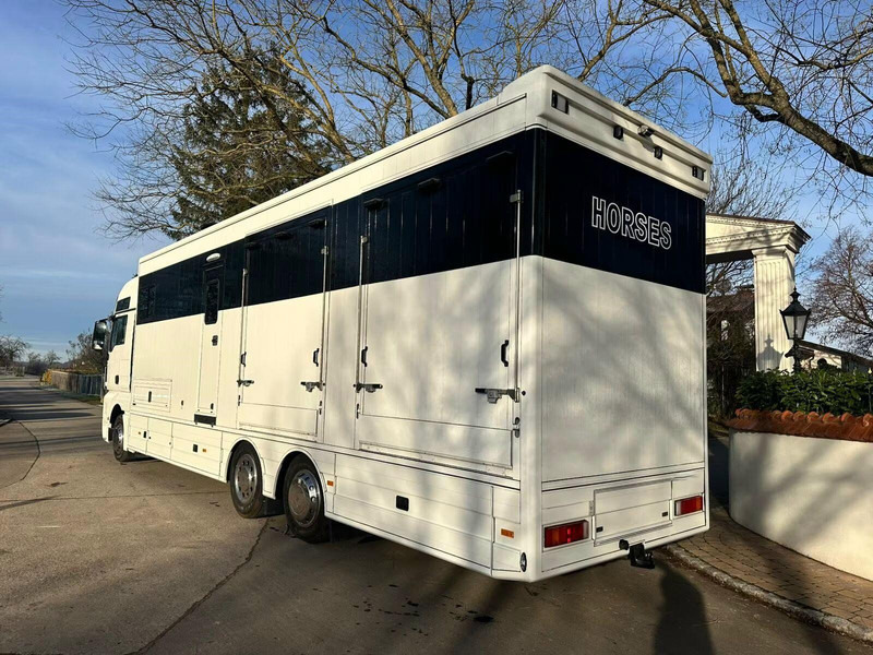 MAN TGX 26.440 - Horse transporter - Camião de transporte de cavalos: foto 4 MAN TGX 26.440 - Horse transporter - Camião de transporte de cavalos: foto 4