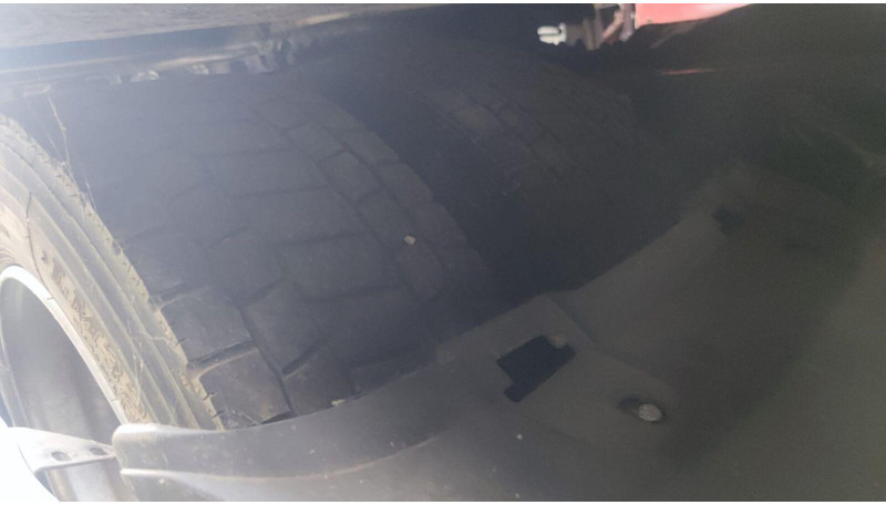 Tractor DAF XF 460: foto 14