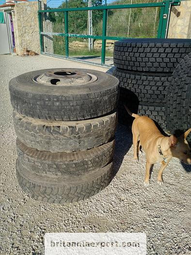 4 x used 7.50-16 LT tyres on 6 studs rims for Toyota Dyna 300 - Roda completa: foto 3 4 x used 7.50-16 LT tyres on 6 studs rims for Toyota Dyna 300 - Roda completa: foto 3