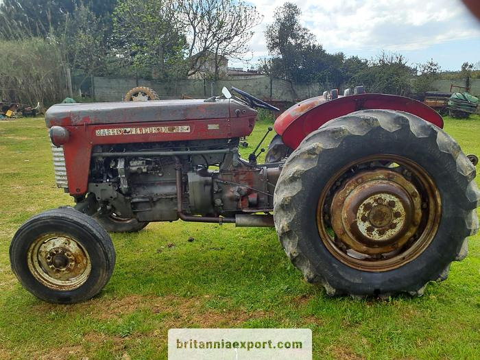 Massey Ferguson 65 | 4 cylinder diesel | disc brakes - Trator: foto 3 Massey Ferguson 65 | 4 cylinder diesel | disc brakes - Trator: foto 3