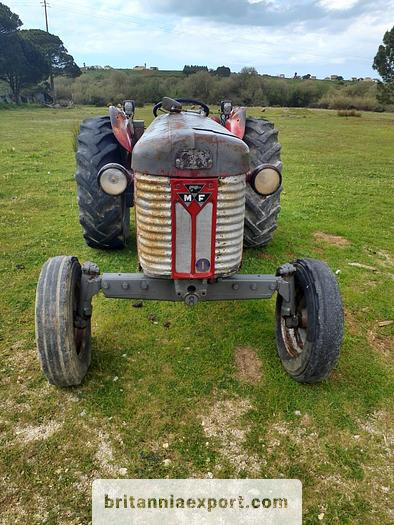 Massey Ferguson 65 | 4 cylinder diesel | disc brakes - Trator: foto 2 Massey Ferguson 65 | 4 cylinder diesel | disc brakes - Trator: foto 2