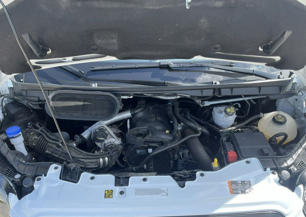 Carrinha de contentor Ford Transit: foto 17