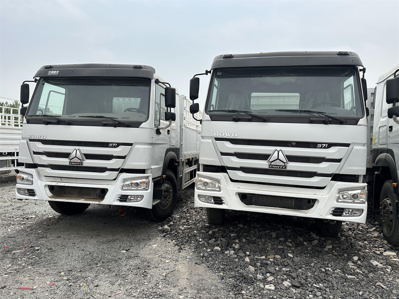 SINOTRUK HOWO 371 Cargo truck - Camião transporte de gado: foto 2 SINOTRUK HOWO 371 Cargo truck - Camião transporte de gado: foto 2