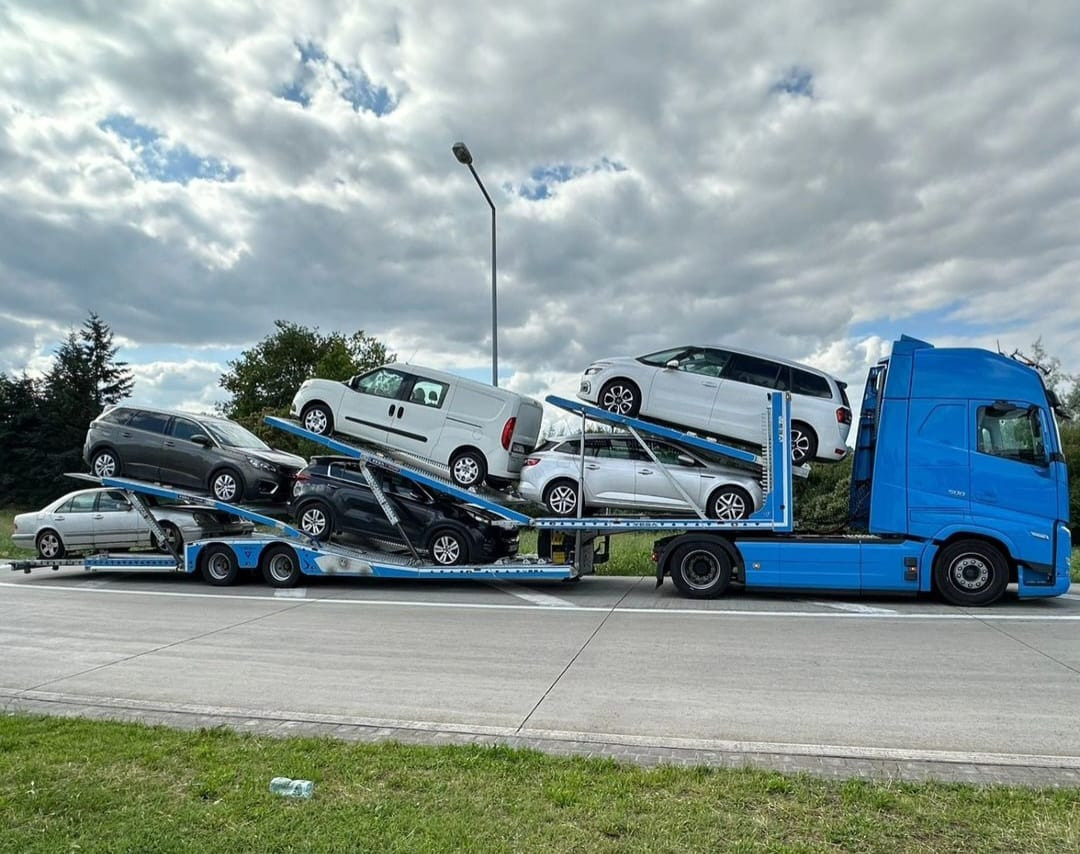 Semi-reboque transporte de veículos Vega Trailer 2 Axle Jeep Transporter (Vehicles): foto 10