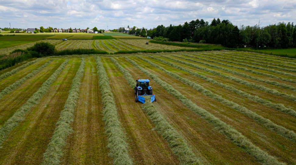 DOZAMECH HERON 225 Hay Turner and Rake - Ancinho enleirador: foto 3 DOZAMECH HERON 225 Hay Turner and Rake - Ancinho enleirador: foto 3