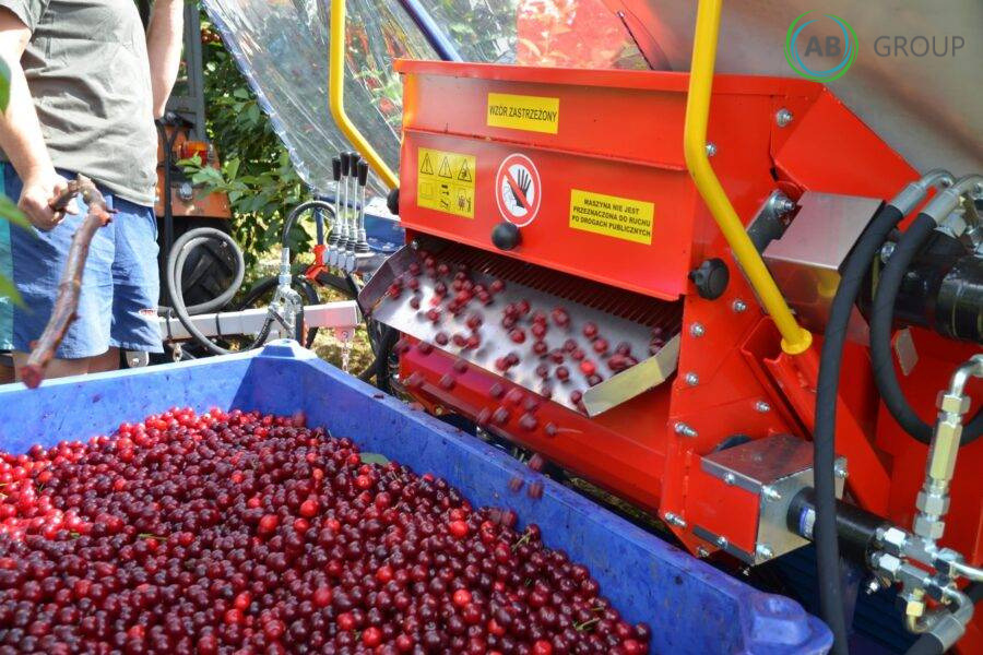 Jagoda machine for harvesting cherries, plums Gacek - Equipamentos para jardinagem: foto 4 Jagoda machine for harvesting cherries, plums Gacek - Equipamentos para jardinagem: foto 4