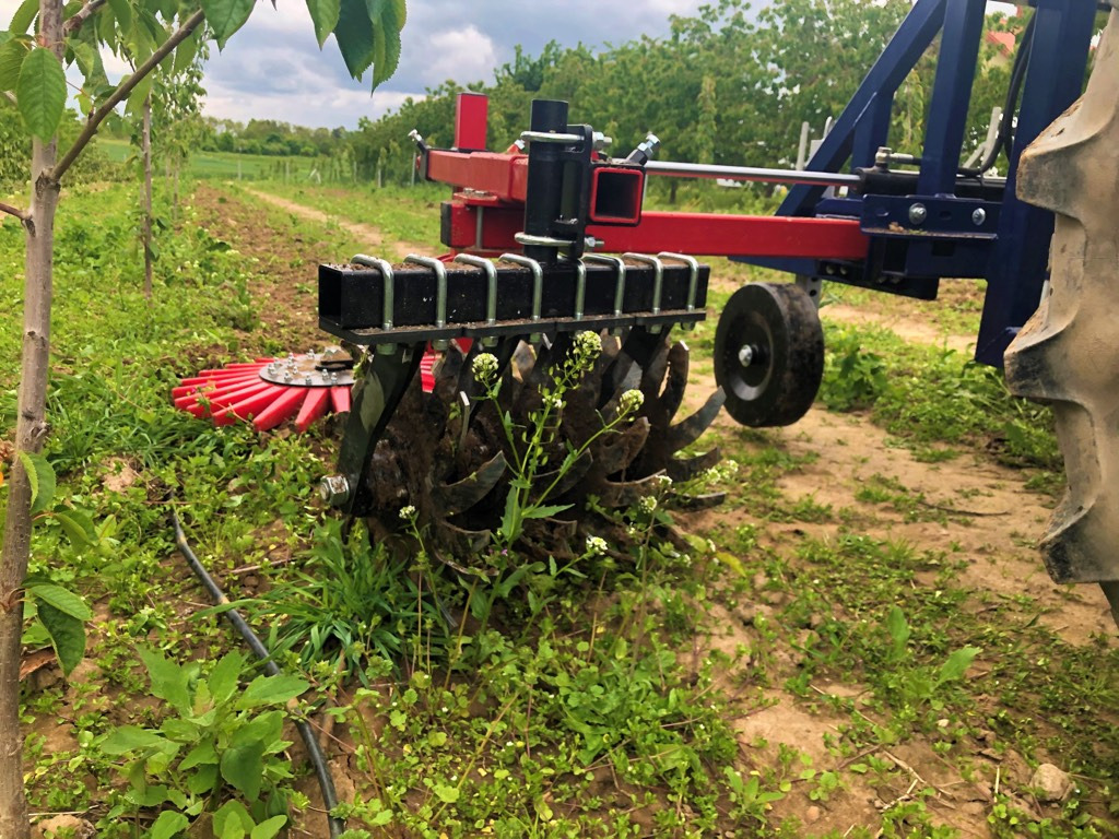 Jagoda one-sided orchard weeder KLAUDIA X1 - Cultivador: foto 3 Jagoda one-sided orchard weeder KLAUDIA X1 - Cultivador: foto 3