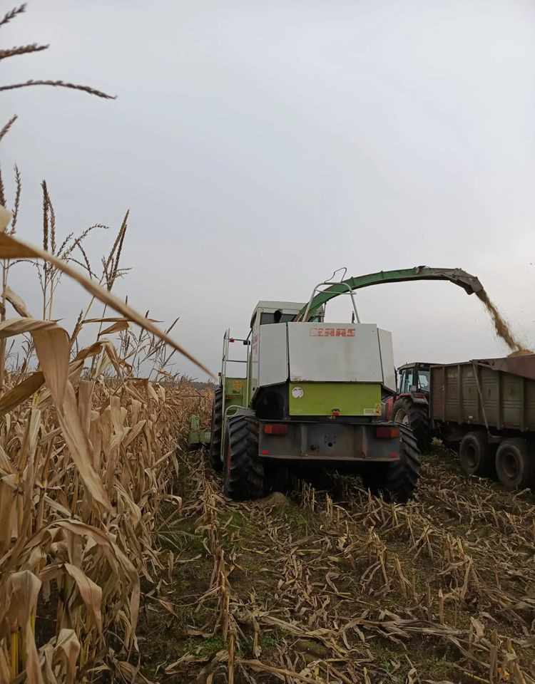 Picadora de forragem automotriz Claas Jaguar 840: foto 7 Picadora de forragem automotriz Claas Jaguar 840: foto 7