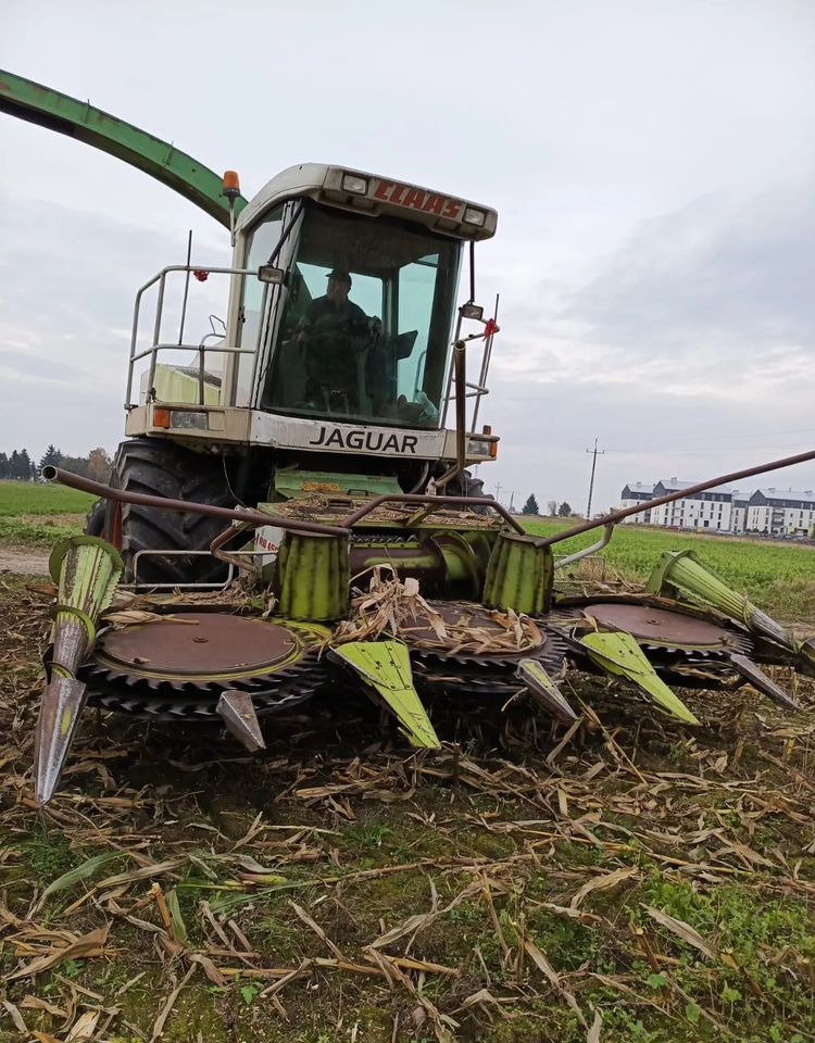 Claas Jaguar 840 - Picadora de forragem automotriz: foto 2 Claas Jaguar 840 - Picadora de forragem automotriz: foto 2