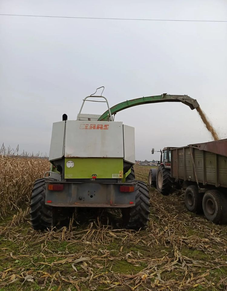 Picadora de forragem automotriz Claas Jaguar 840: foto 6 Picadora de forragem automotriz Claas Jaguar 840: foto 6