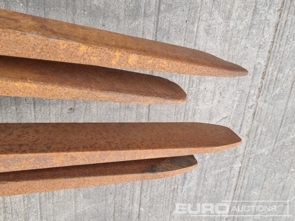 Equipamento de movimentação Forks to suit Forklift (4 of): foto 9