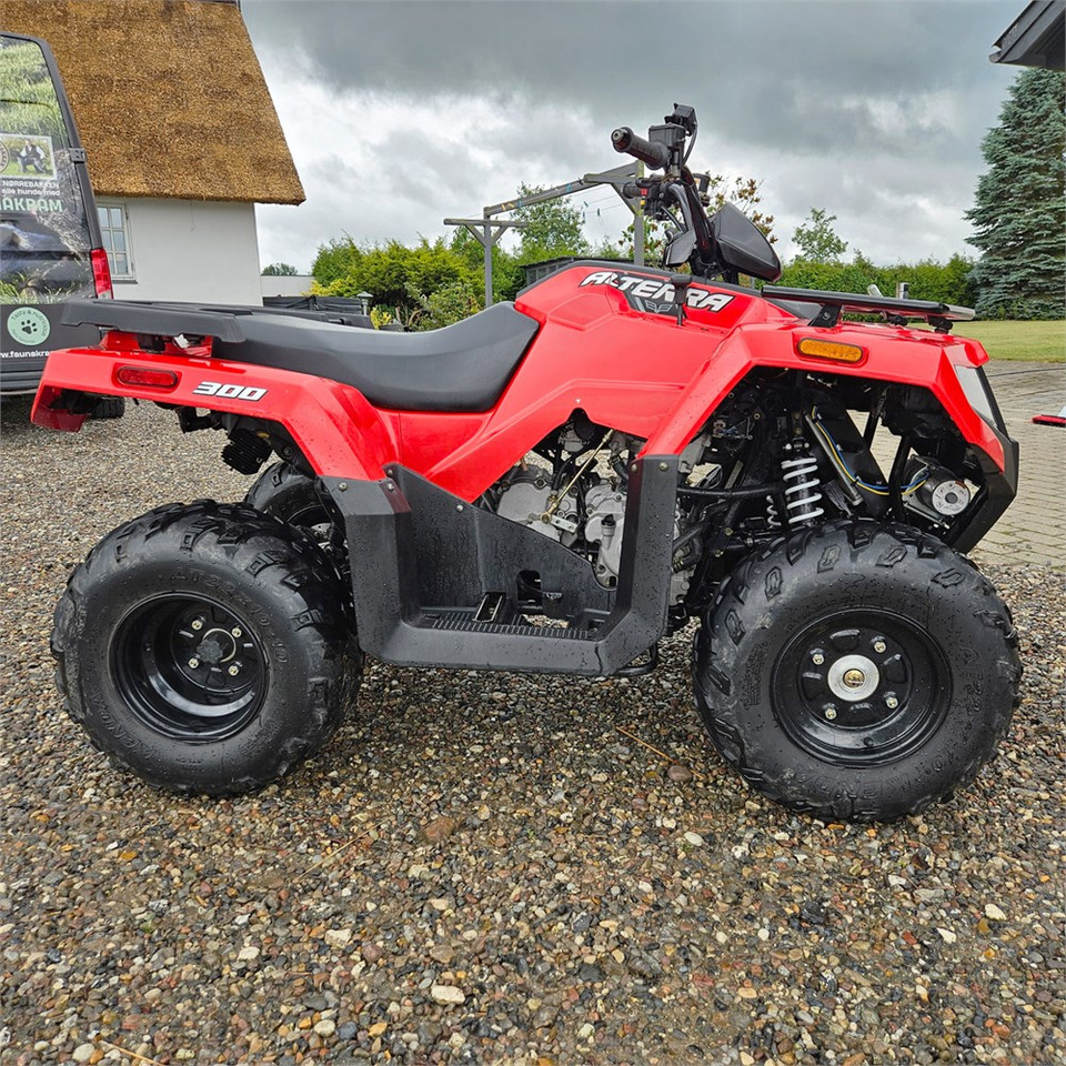 Arctic Cat Alterra 300 - Quadriciclo: foto 4 Arctic Cat Alterra 300 - Quadriciclo: foto 4