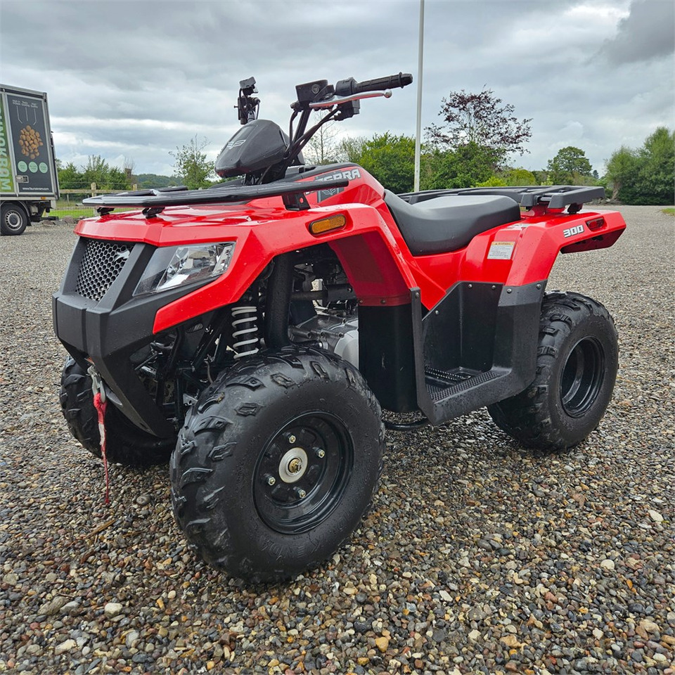 Arctic Cat Alterra 300 - Quadriciclo: foto 1 Arctic Cat Alterra 300 - Quadriciclo: foto 1