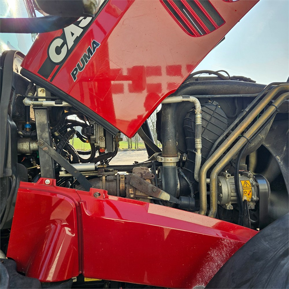 Locação financeira de CASE IH Puma 230 CVX CASE IH Puma 230 CVX: foto 34