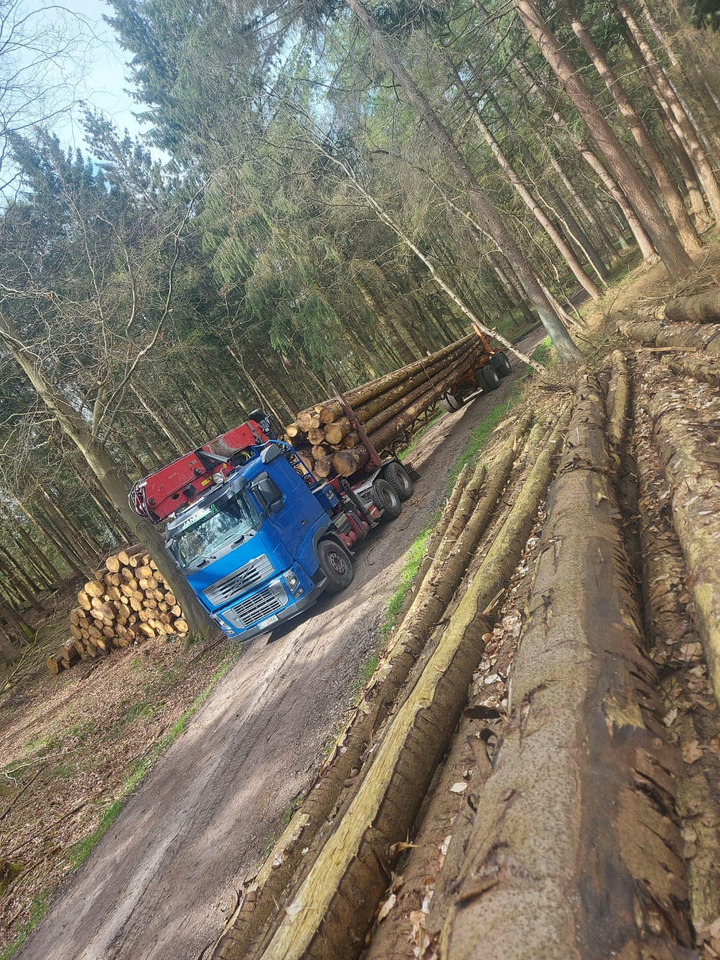 Camião de transporte de madeira VOLVO FH16 700 6×4: foto 1