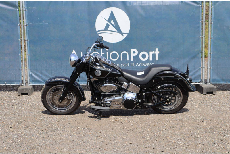Harley-Davidson FLSTF - Motocicleta: foto 2 Harley-Davidson FLSTF - Motocicleta: foto 2