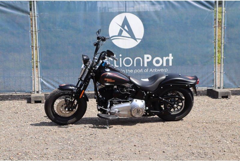 Harley-Davidson FLSTSB CROSS-BONES - Motocicleta: foto 1 Harley-Davidson FLSTSB CROSS-BONES - Motocicleta: foto 1
