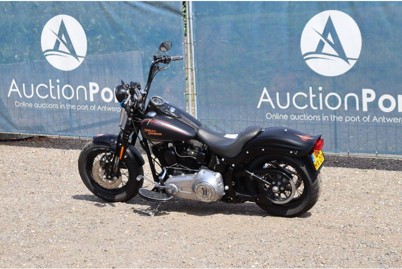 Harley-Davidson FLSTSB CROSS-BONES - Motocicleta: foto 3 Harley-Davidson FLSTSB CROSS-BONES - Motocicleta: foto 3
