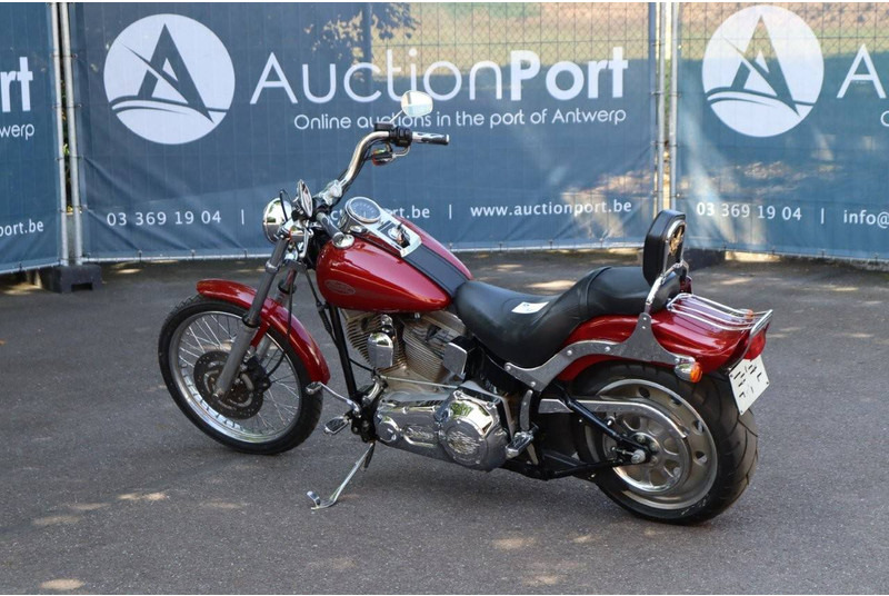 Harley-Davidson Softail Standard - Motocicleta: foto 3 Harley-Davidson Softail Standard - Motocicleta: foto 3