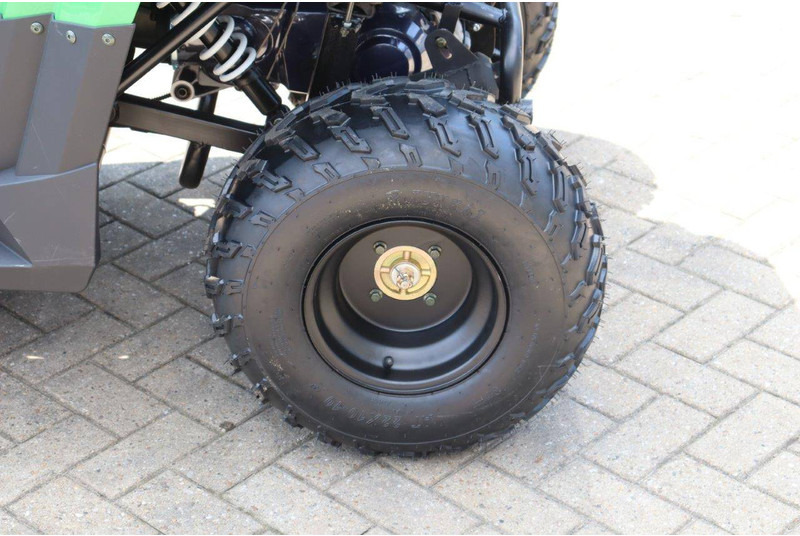 Carrinho de golfe novo Wextrem 200Pro: foto 13 Carrinho de golfe novo Wextrem 200Pro: foto 13