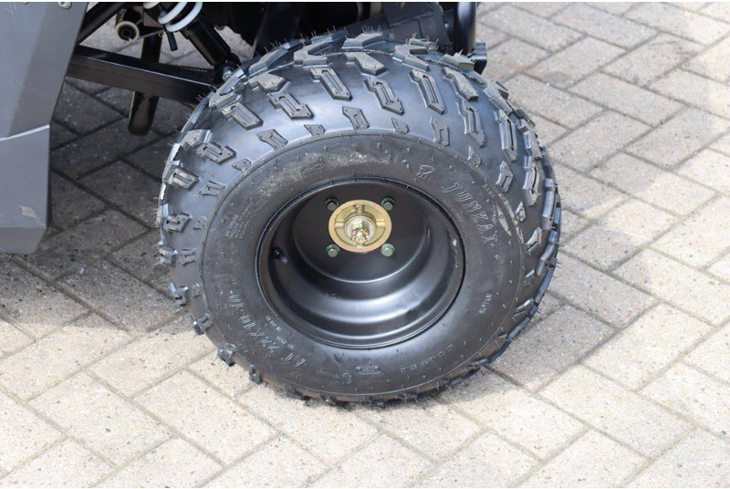 Carrinho de golfe novo Wextrem UTV-ATV 200Pro: foto 14