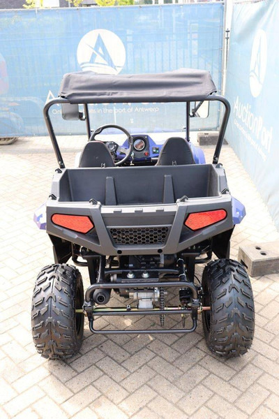 Wextrem UTV-ATV 200Pro - Carrinho de golfe: foto 4 Wextrem UTV-ATV 200Pro - Carrinho de golfe: foto 4